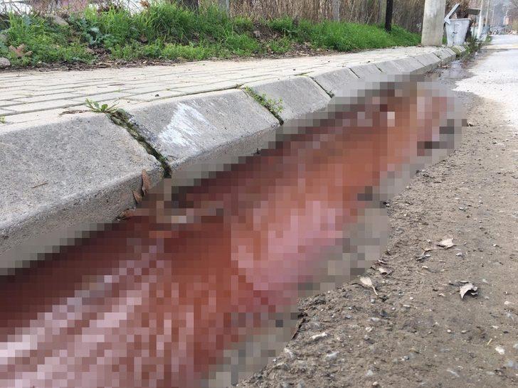 Sokak ortasından akan kanlı su paniğe neden oldu G3