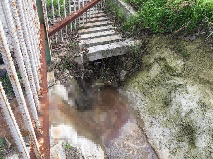 Sokak ortasından akan kanlı su paniğe neden oldu G4