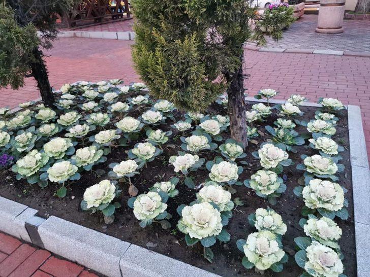 İvrindi’de meydanlar çiçekler açtı G4