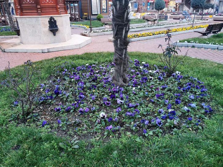 İvrindi’de meydanlar çiçekler açtı G5