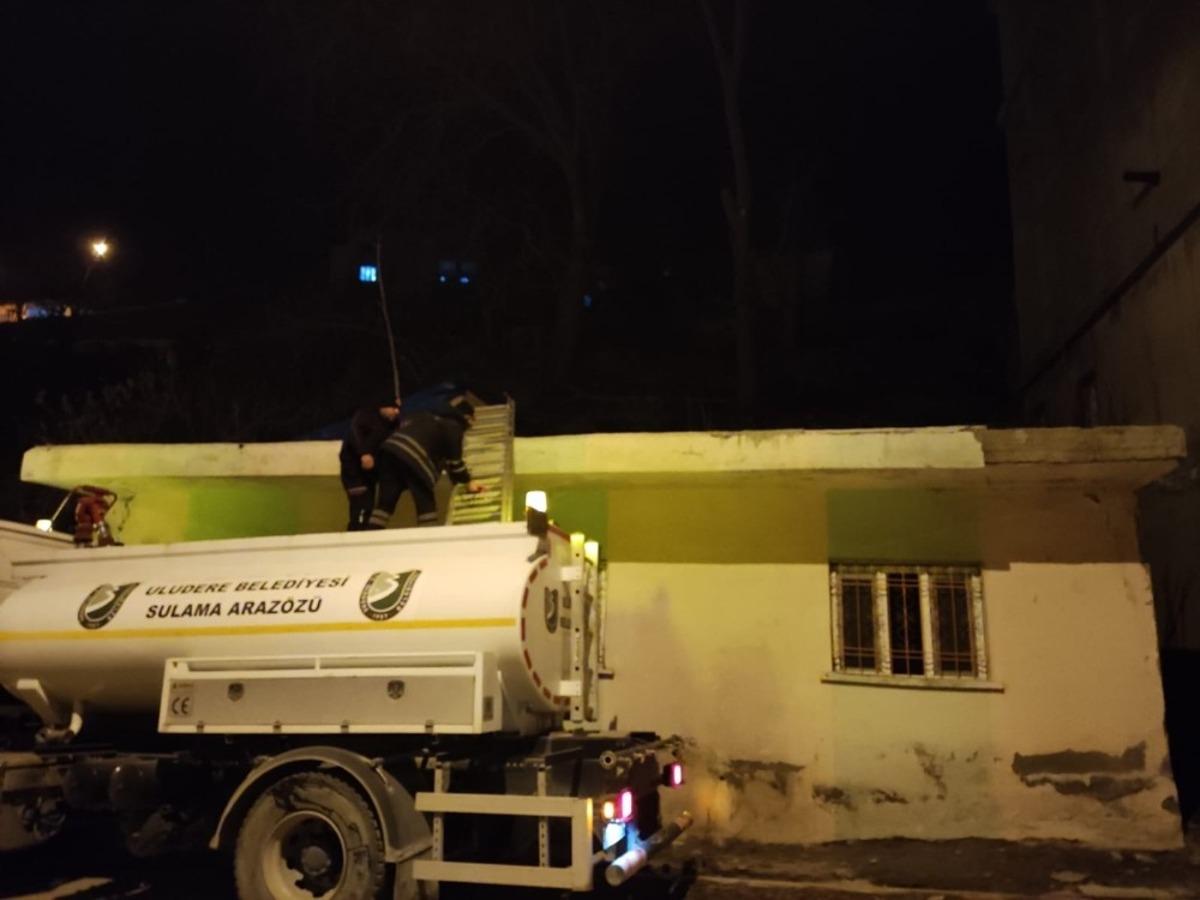 Uludere&rsquo;de ağa&ccedil;ta mahsur kalan kediyi itfaiye ekipleri kurtardı