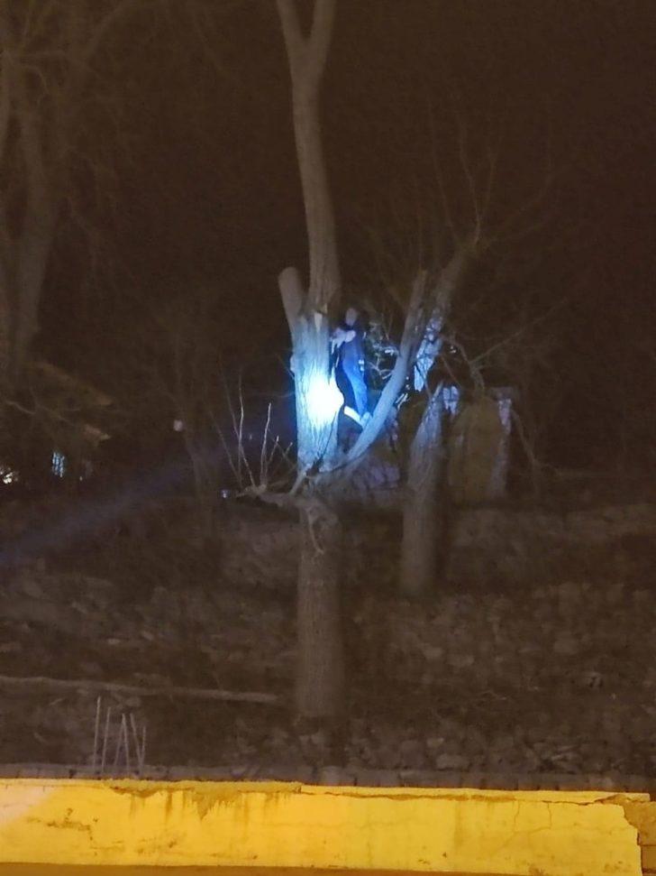 Uludere’de ağaçta mahsur kalan kediyi itfaiye ekipleri kurtardı G2