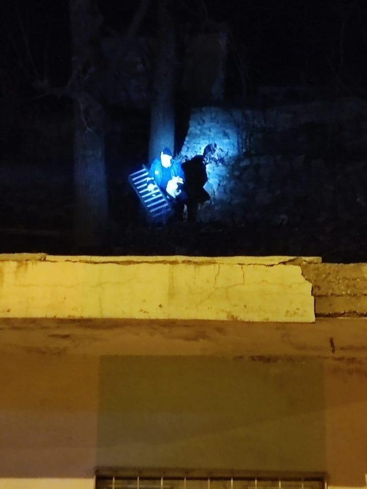 Uludere’de ağaçta mahsur kalan kediyi itfaiye ekipleri kurtardı G3