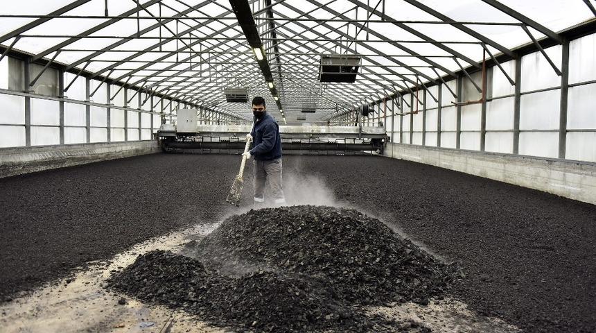 Atığı enerjiye d&ouml;n&uuml;şt&uuml;ren inovasyon doğayı 2 bin 645 ton &ccedil;amurdan kurtardı