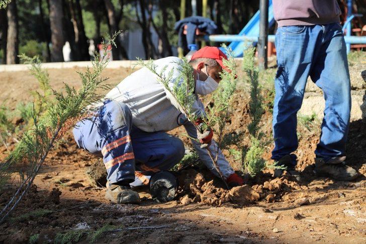 Menderes yeşile bürünüyor G1