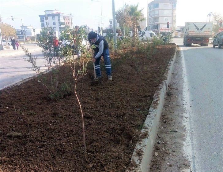 Menderes yeşile bürünüyor G2