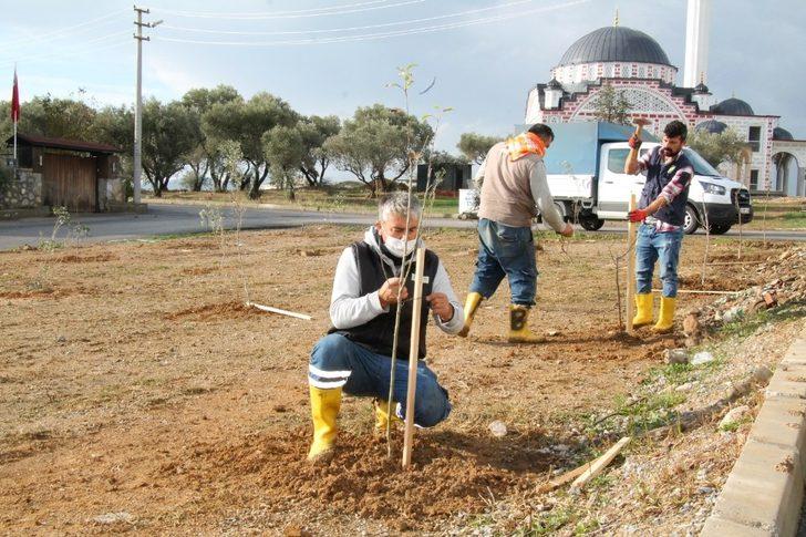 Menderes yeşile bürünüyor G3