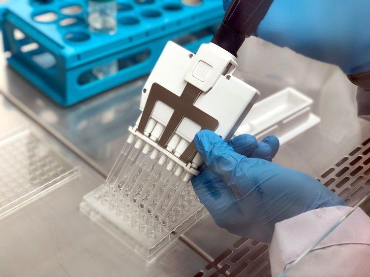 Bartın Üniversitesi 3 “Star” öğrenci çıkardı G2