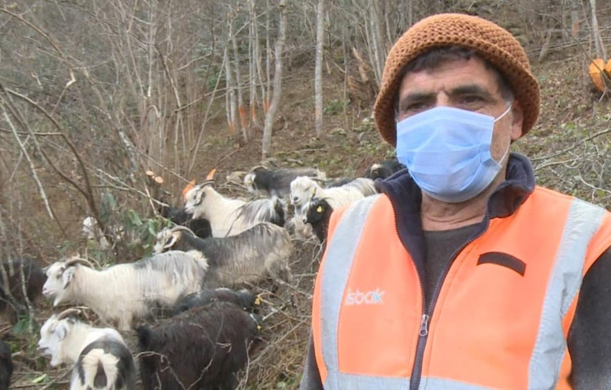 Rize&rsquo;de 3 g&uuml;nd&uuml;r kayıp olan 30 ke&ccedil;iden 23&rsquo;&uuml; jandarmanın drone destekli aramaları sonucu bulundu
