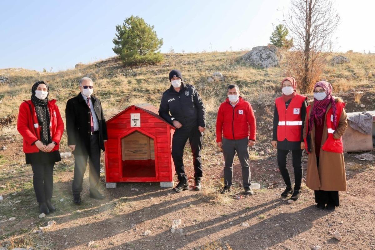 G&ouml;n&uuml;ll&uuml;lerce Meram&rsquo;a yeni kedi, k&ouml;pek ve kuş evleri kazandırılıyor