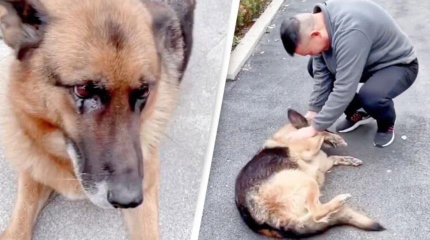 Emekli polis k&ouml;peği eğitmeni ile bir araya gelince ağladı