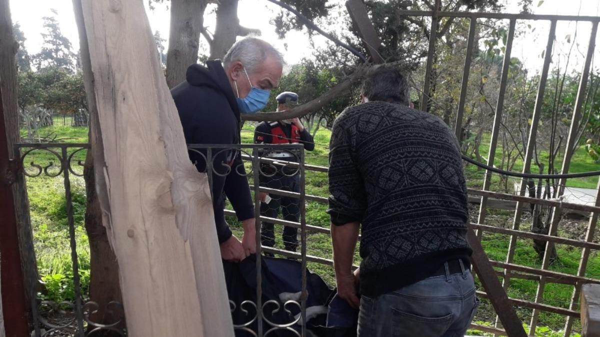 Yavruları olan k&ouml;pek t&uuml;fekle vurularak &ouml;ld&uuml;r&uuml;ld&uuml;