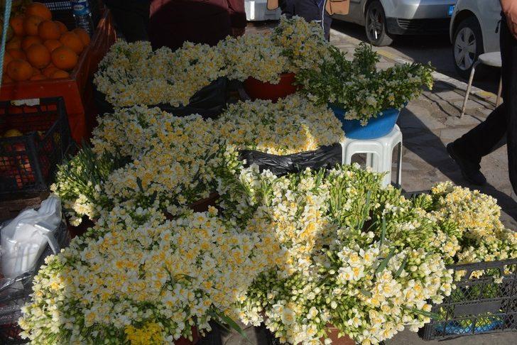 Kışta baharı yaşatan nergis çiçekleri gelir kapısı oldu G1