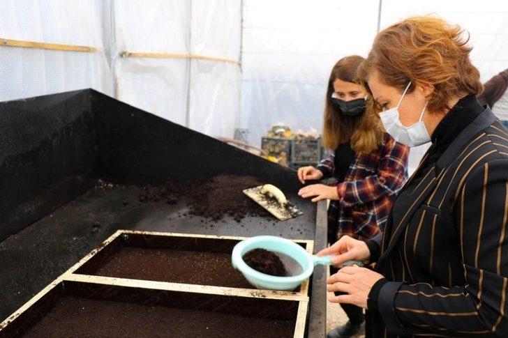 Seraya yılın ilk çiçek tohumunu Başkan Köse ekti G2