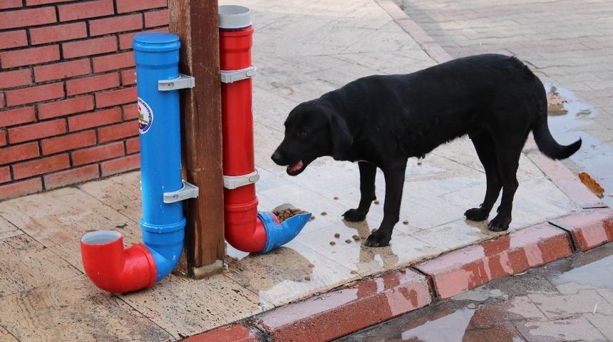 Kozan&rsquo;da sokak hayvanları i&ccedil;in mama noktaları oluşturuldu