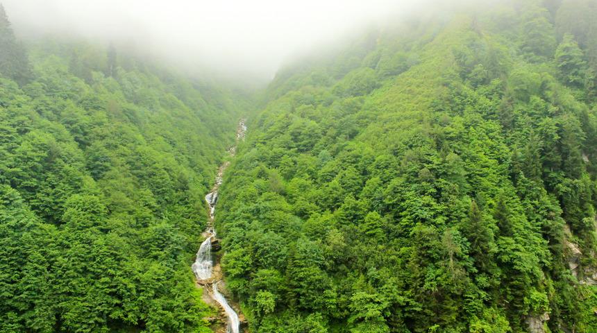 Gelin Tülü Şelalesi nerede, hangi yaylada? Ayder Gelin Tülü Şelalesi