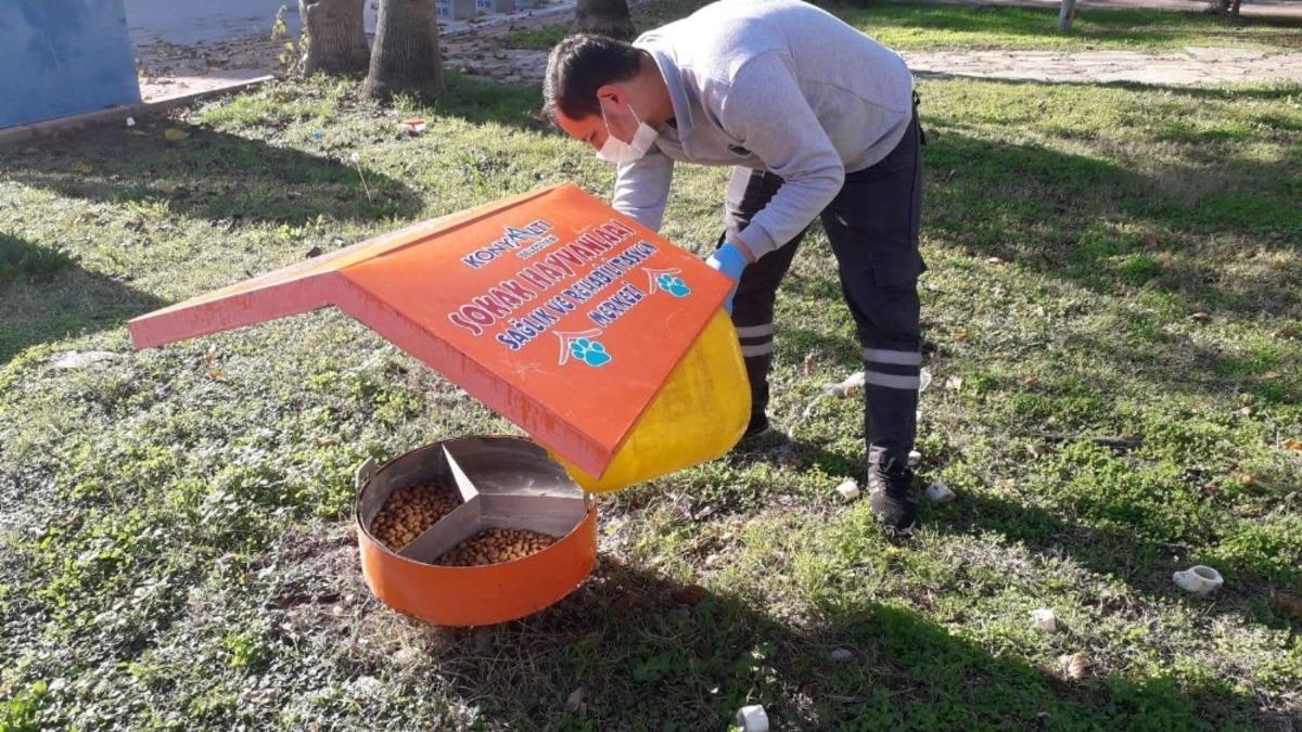 Konyaaltı&rsquo;nda sokak hayvanları unutulmadı