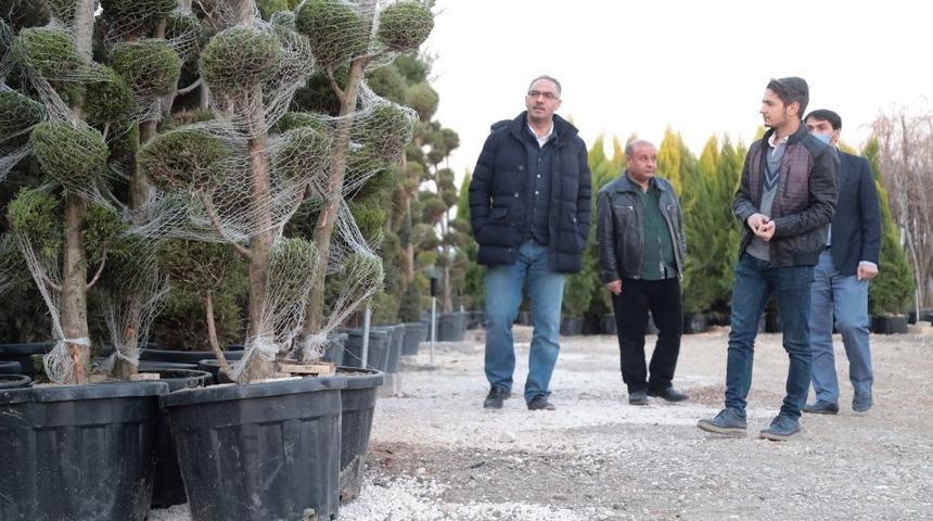 Eyy&uuml;biye&rsquo;de yeni parklara yeni fidanlar