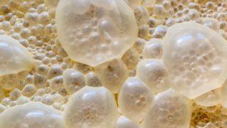 Evde ekmek nasıl yapılır? Puf puf kabaran en iyi ekmeğin sırrı bu! Üzeri köpük köpük olduğunda...