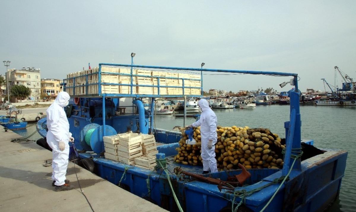 Karaduvar Balık&ccedil;ı Barınağındaki balık&ccedil;ı tekneleri dezenfekte edildi