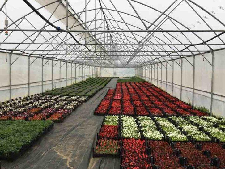 Ordu, kırsal kalkınmanın başkenti oluyor G2