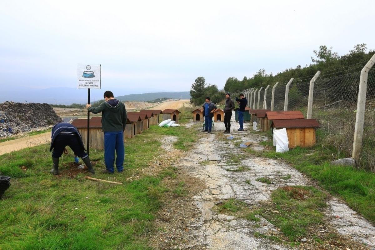 B&uuml;y&uuml;kşehir&rsquo;den sokak hayvanlarına sıcak yuva