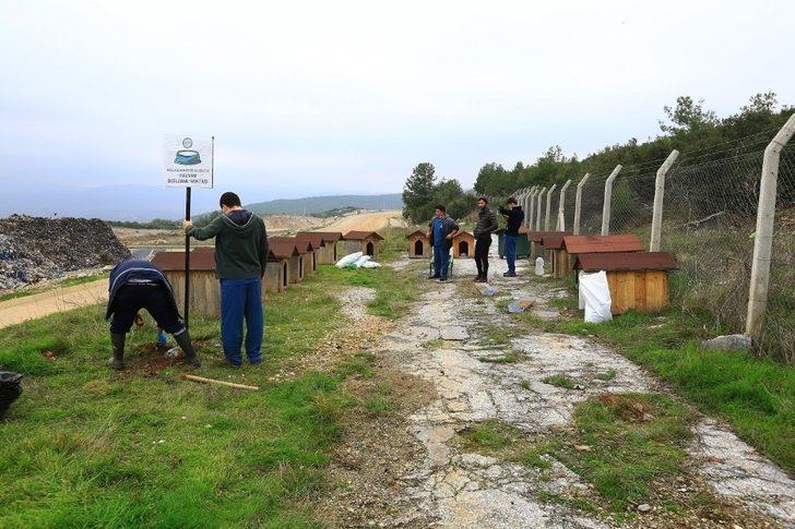 Büyükşehir’den sokak hayvanlarına sıcak yuva G1