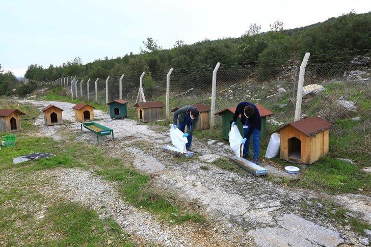 Büyükşehir’den sokak hayvanlarına sıcak yuva G4