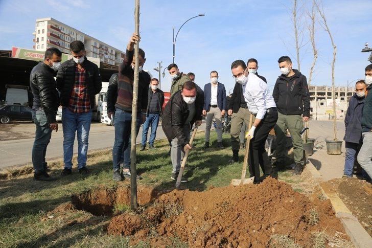 Cizre’de daha yeşil bir çevre için çalışmalar sürüyor G1