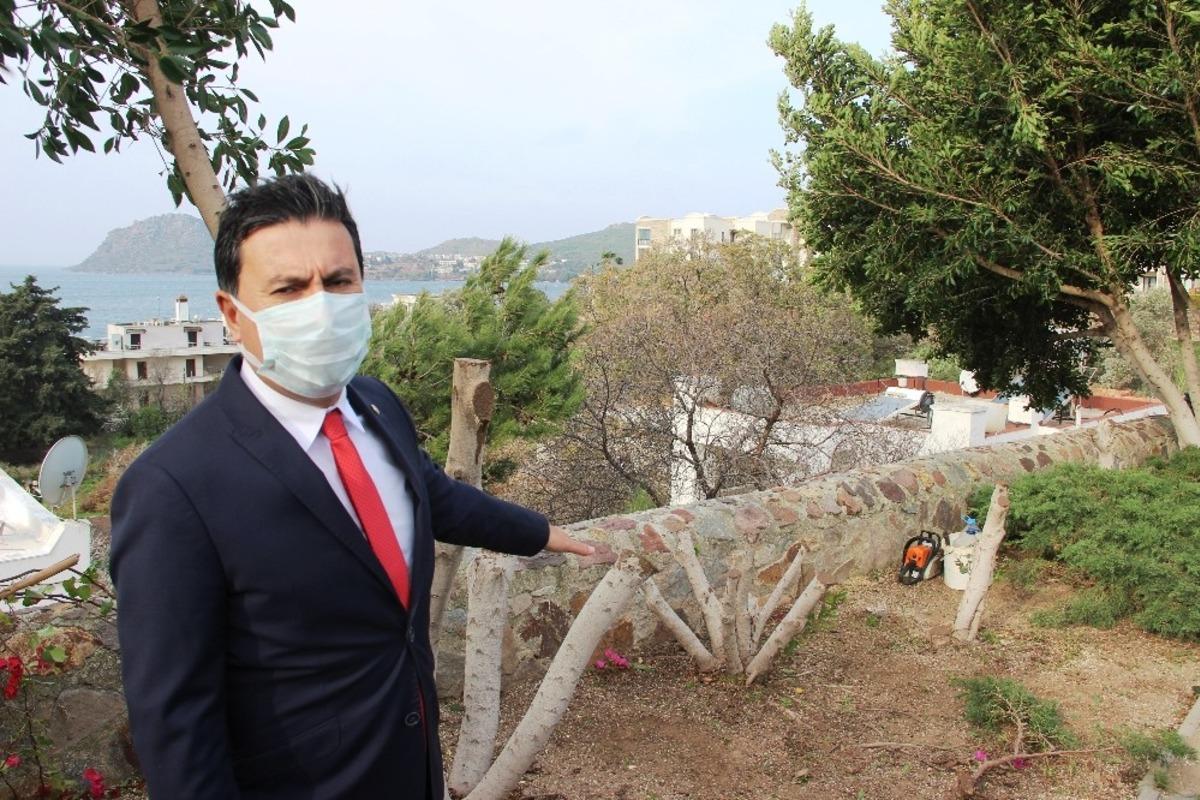 Bodrum&rsquo;da şehit pilot anısına dikilen ağa&ccedil;ları kestiler