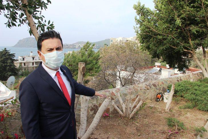 Bodrum’da şehit pilot anısına dikilen ağaçları kestiler G1