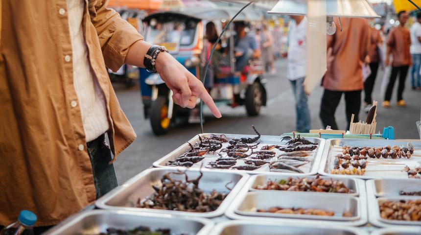 Her yıl böceklerin yüzde 2’si yok oluyor!