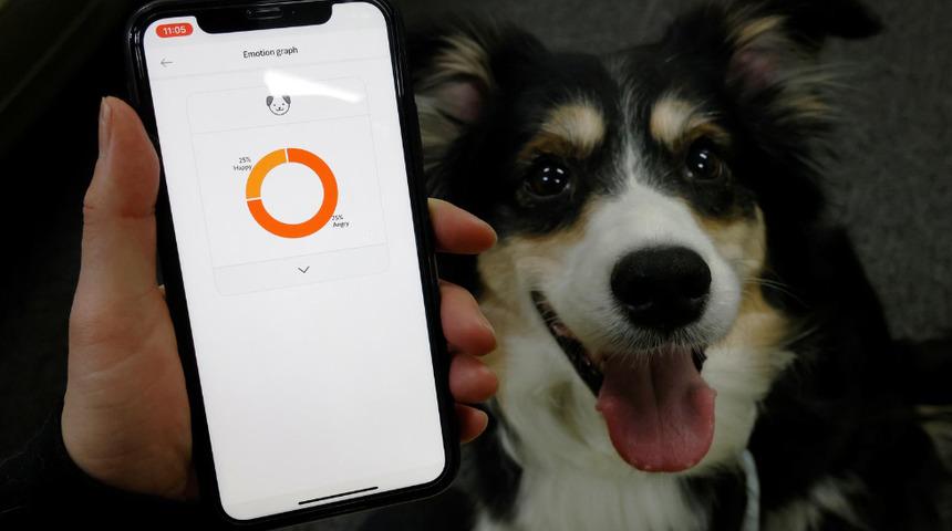 K&ouml;peklerin ruh halini havlamalarından anlayan tasma!