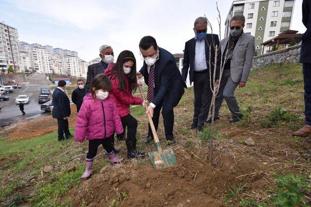 Çukurçayır’a meyve bahçesi