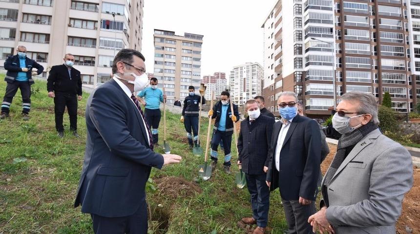 &Ccedil;ukur&ccedil;ayır&rsquo;a meyve bah&ccedil;esi