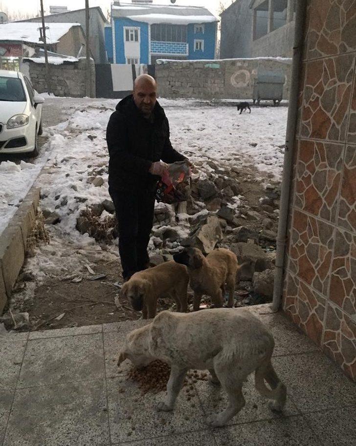 Kendi imkanları ile sokak hayvanlarına yem bırakıyor G5