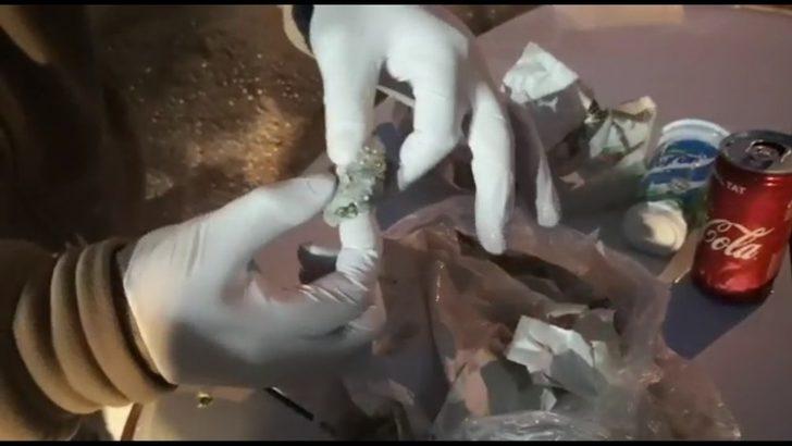 Ekmek arası uyuşturucu narkotik köpeği Caka’ya takıldı G2