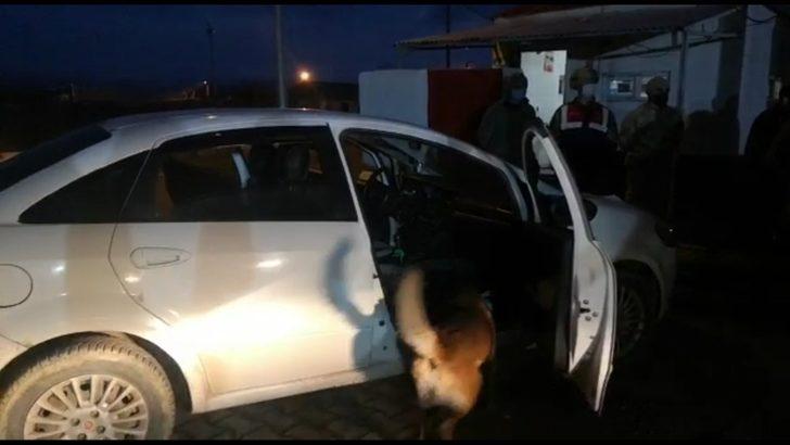 Ekmek arası uyuşturucu narkotik köpeği Caka’ya takıldı G3