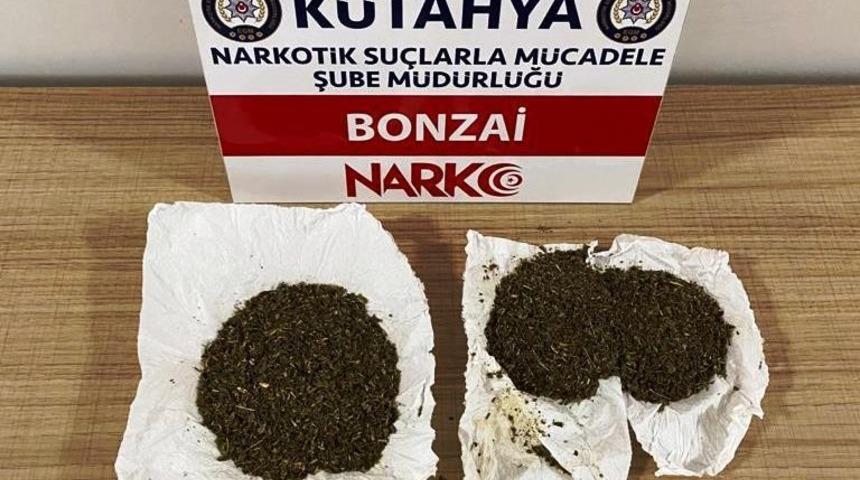 K&uuml;tahya&rsquo;da bir ş&uuml;phelinin &uuml;zerinde bonzai ele ge&ccedil;irildi