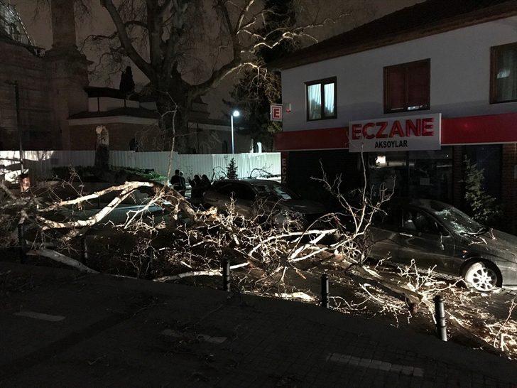 Bursa'da lodosun devirdiği çınar, park halindeki araçların üzerine düştü G1