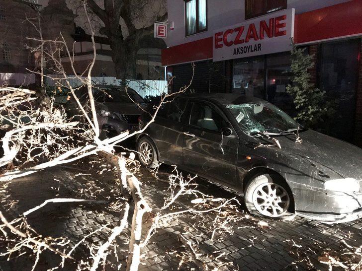 Bursa'da lodosun devirdiği çınar, park halindeki araçların üzerine düştü G2