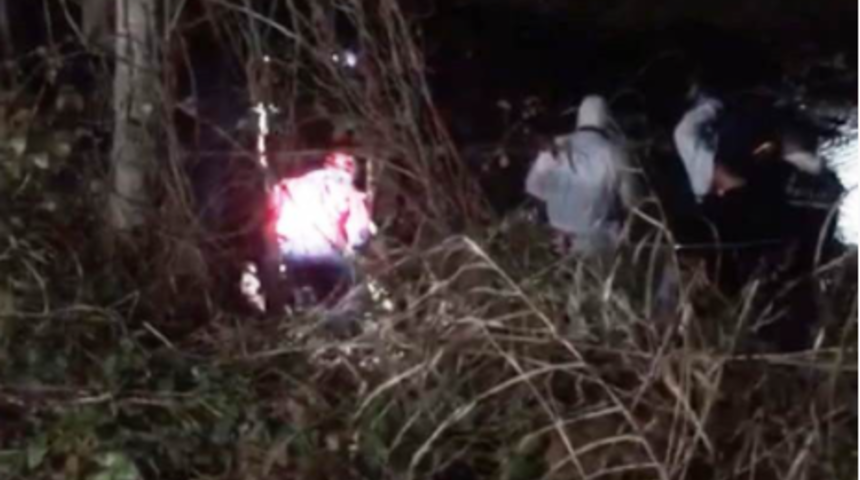 Sakarya&rsquo;da &ccedil;anta i&ccedil;erisinde et ve kemik par&ccedil;aları bulundu