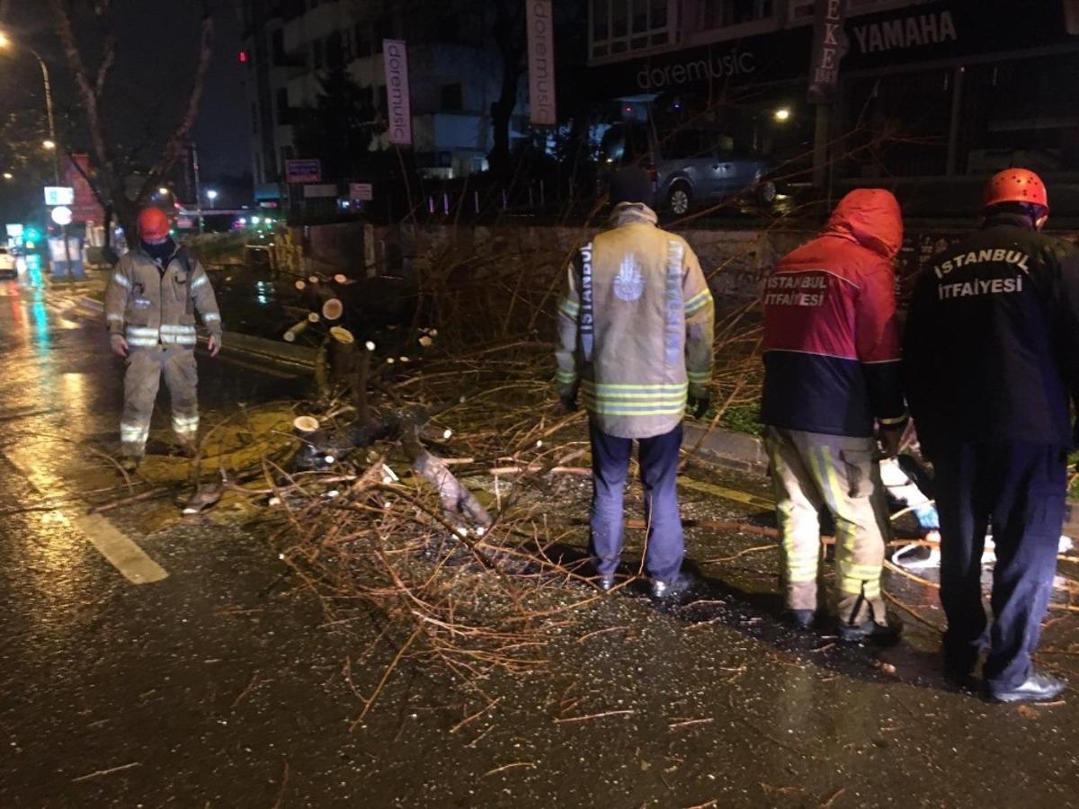 Bağdat Caddesi&rsquo;nde şiddetli sağanak ve r&uuml;zgar nedeniyle ağa&ccedil; devrildi