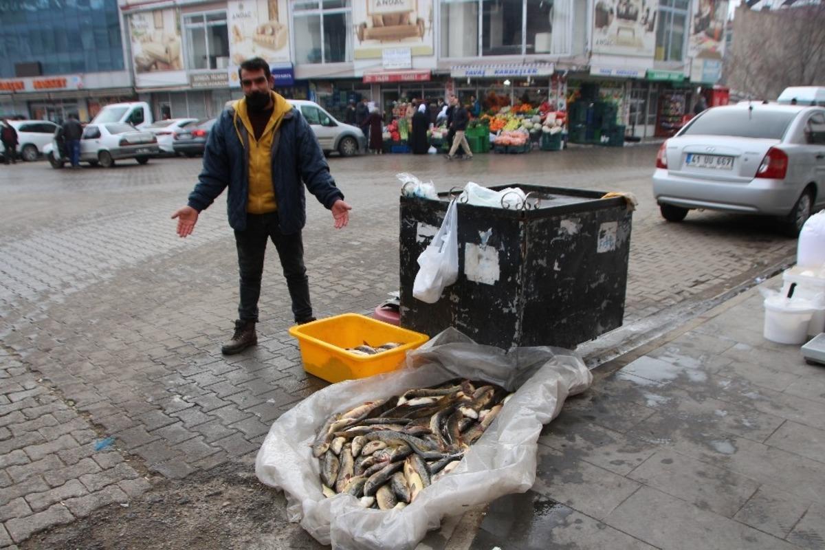 Murat Nehri&rsquo;nde balık bolluğu