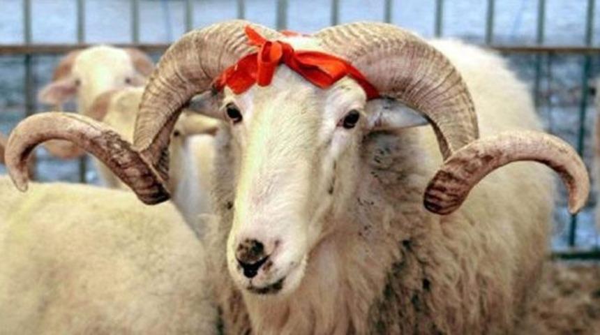 2017 yılının başından bu yana İnternette aranan kelimeler aklımızdan ge&ccedil;enlere ışık tutuyor!