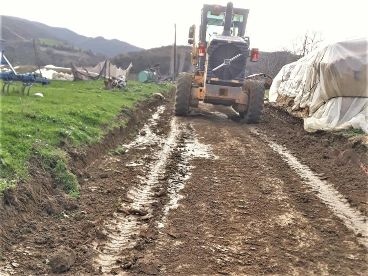 Mermer Mahallesi artık &ccedil;amur &ccedil;ilesi &ccedil;ekmeyecek