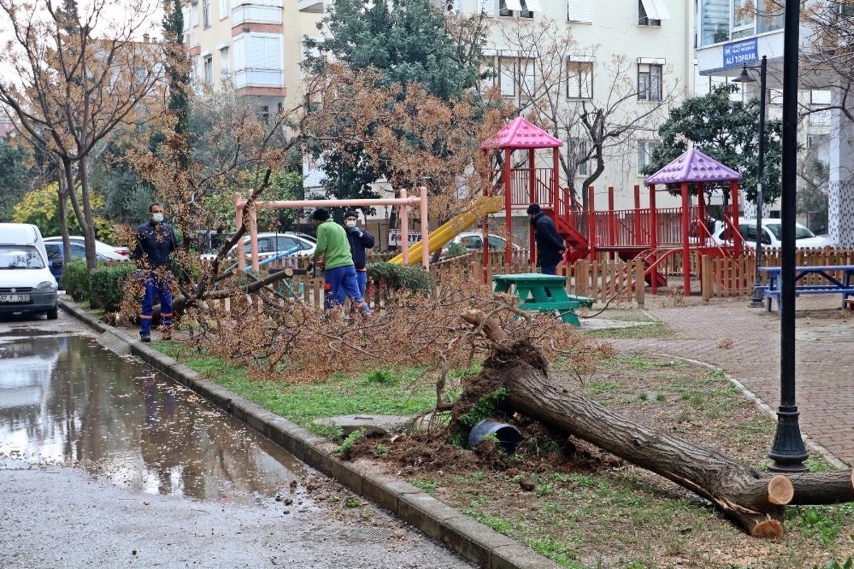 Antalya&rsquo;da hortum ağa&ccedil;ları k&ouml;k&uuml;nden s&ouml;kt&uuml;, &ccedil;atıları u&ccedil;urdu