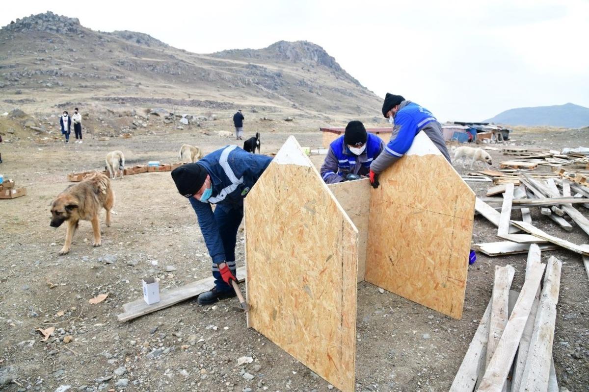 Mamak Belediyesi kış aylarında sokak hayvanlarına sahip &ccedil;ıkmaya devam ediyor