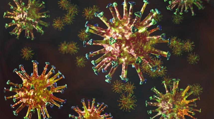 Covid 501.V2: G&uuml;ney Afrika&rsquo;da tespit edilen mutasyona uğramış koronavir&uuml;s t&uuml;r&uuml; hakkında neler biliniyor?