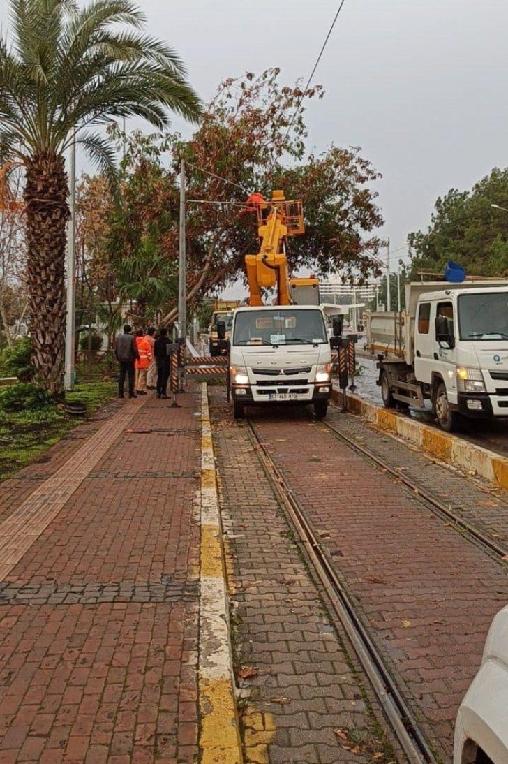 Büyükşehir fırtınadan devrilen ağaçlara müdahale etti G3